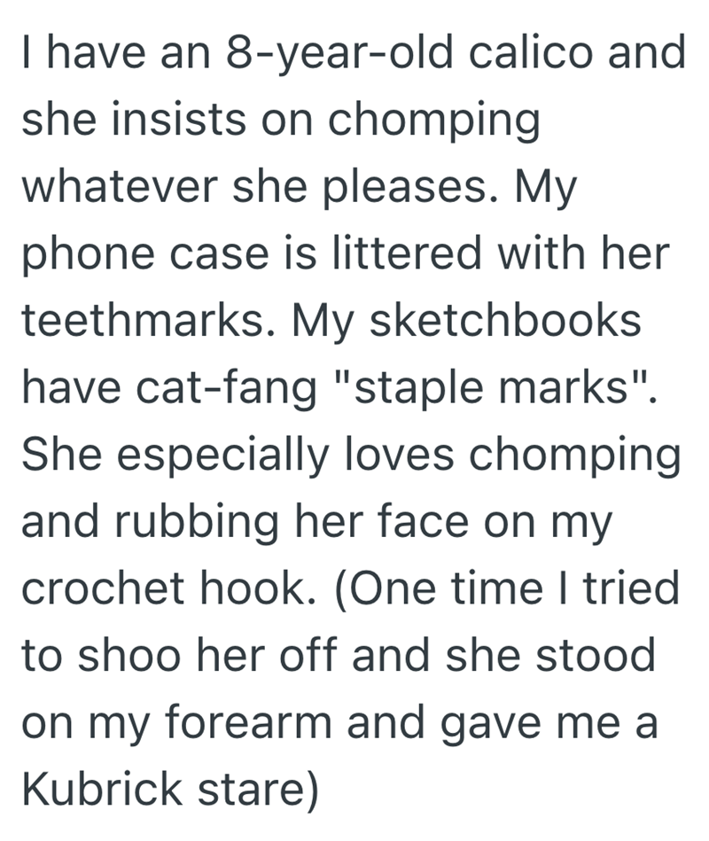 I have an 8-year-old calico and she insists on chomping whatever she pleases. My phone case is littered with her teethmarks. My sketchbooks have cat-fang "staple marks". She especially loves chomping and rubbing her face on my crochet hook. (One time I tried to shoo her off and she stood on my forearm and gave me a Kubrick stare)