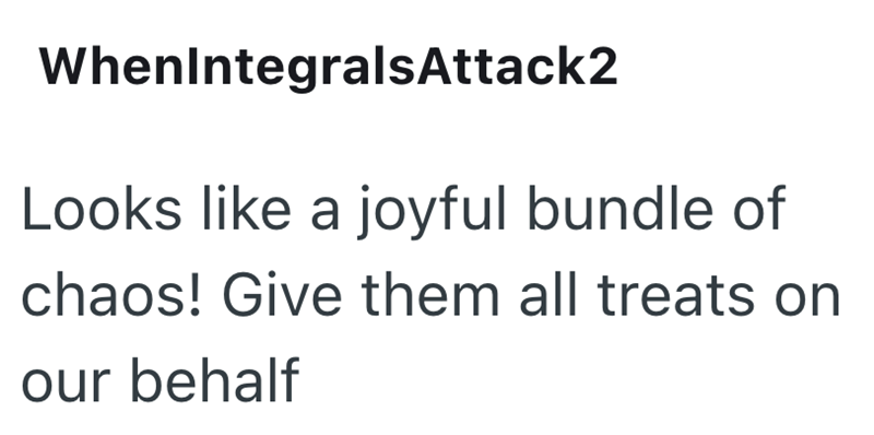WhenIntegralsAttack2 Looks like a joyful bundle of chaos! Give them all treats on our behalf