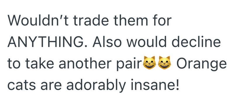 Wouldn't trade them for ANYTHING. Also would decline to take another pair cats are adorably insane! Orange