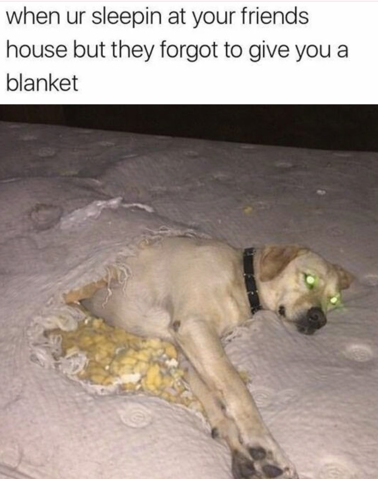 when ur sleepin at your friends. house but they forgot to give you a blanket