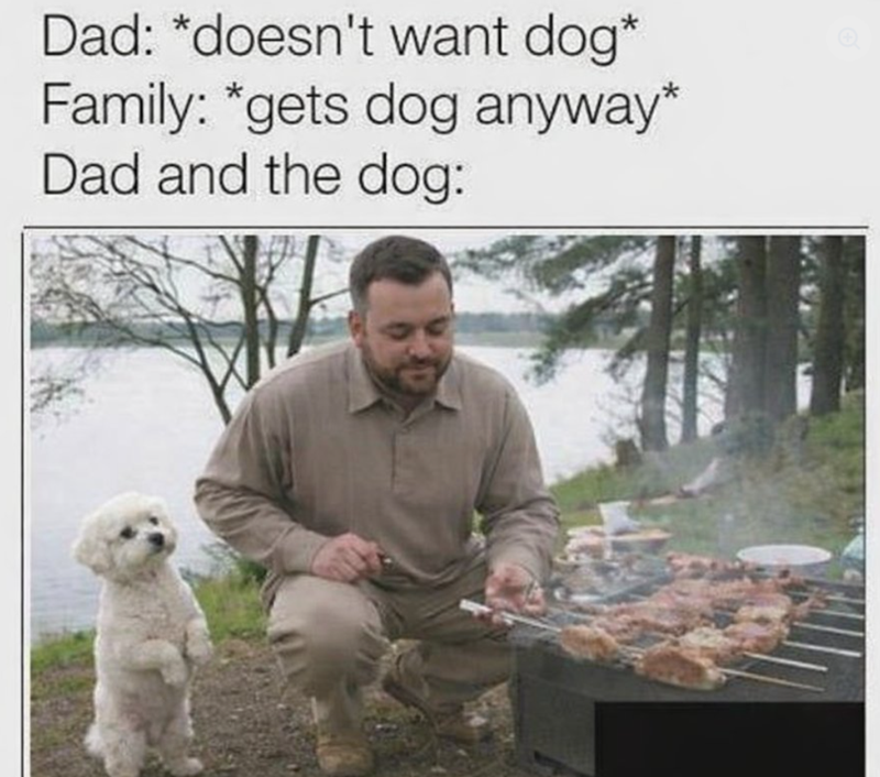 Dad: *doesn't want dog* Family: *gets dog anyway* Dad and the dog: