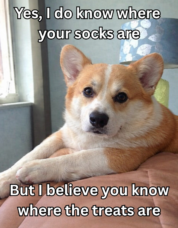 Yes, I do know where your socks are But I believe you know where the treats are