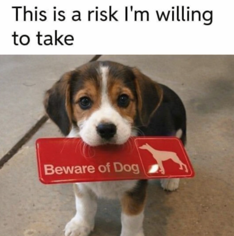 This is a risk I'm willing to take Beware of Dog