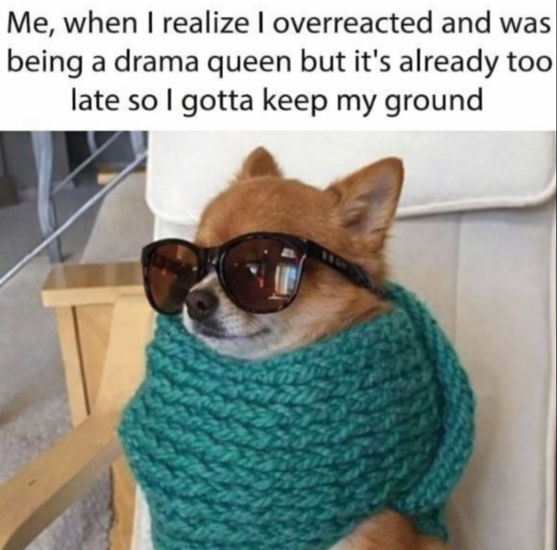 Me, when I realize I overreacted and was being a drama queen but it's already too late so I gotta keep my ground 33