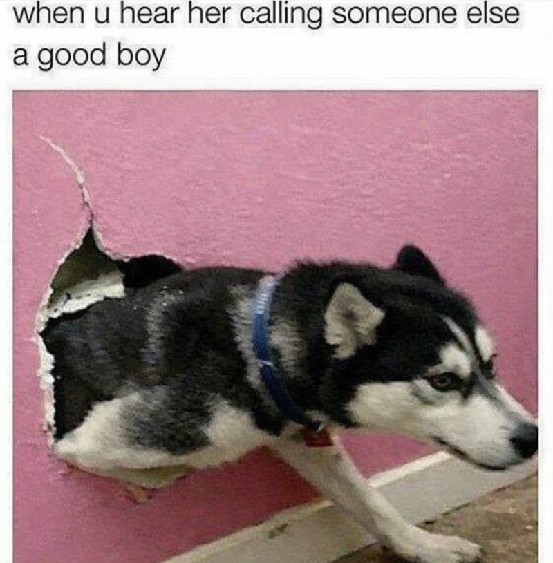 when u hear her calling someone else a good boy