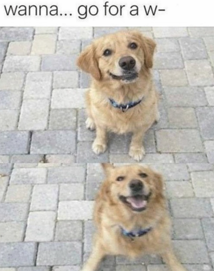 wanna... go for a w-