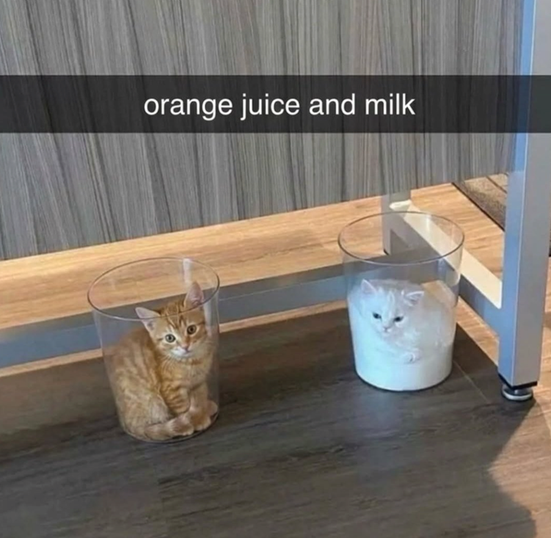 orange juice and milk