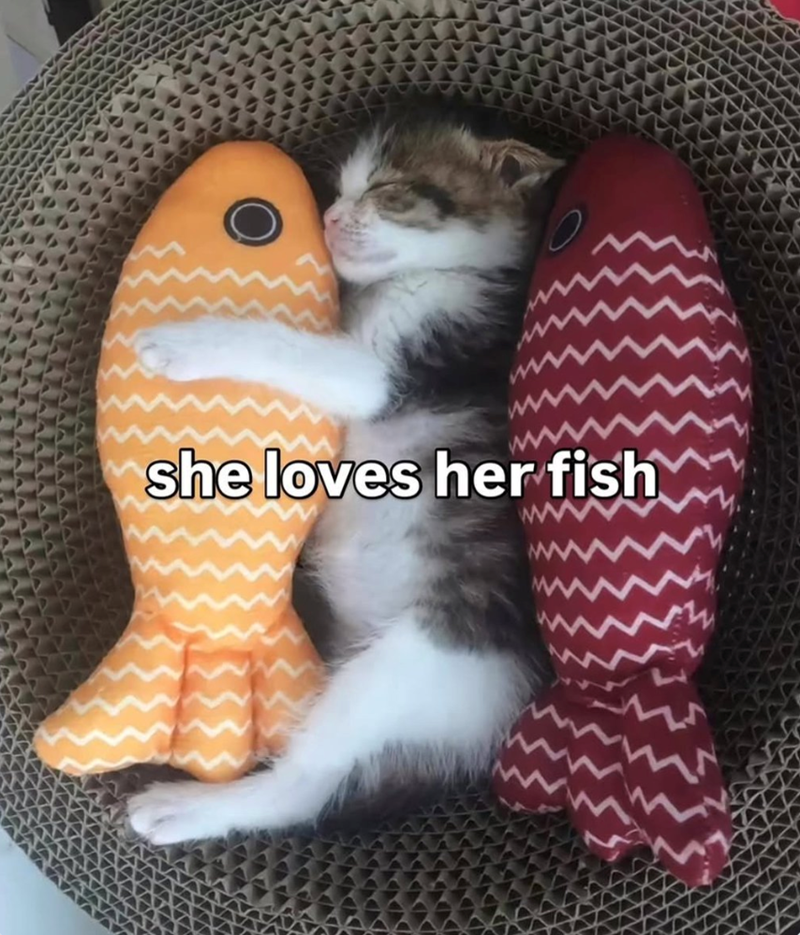 she loves her fish