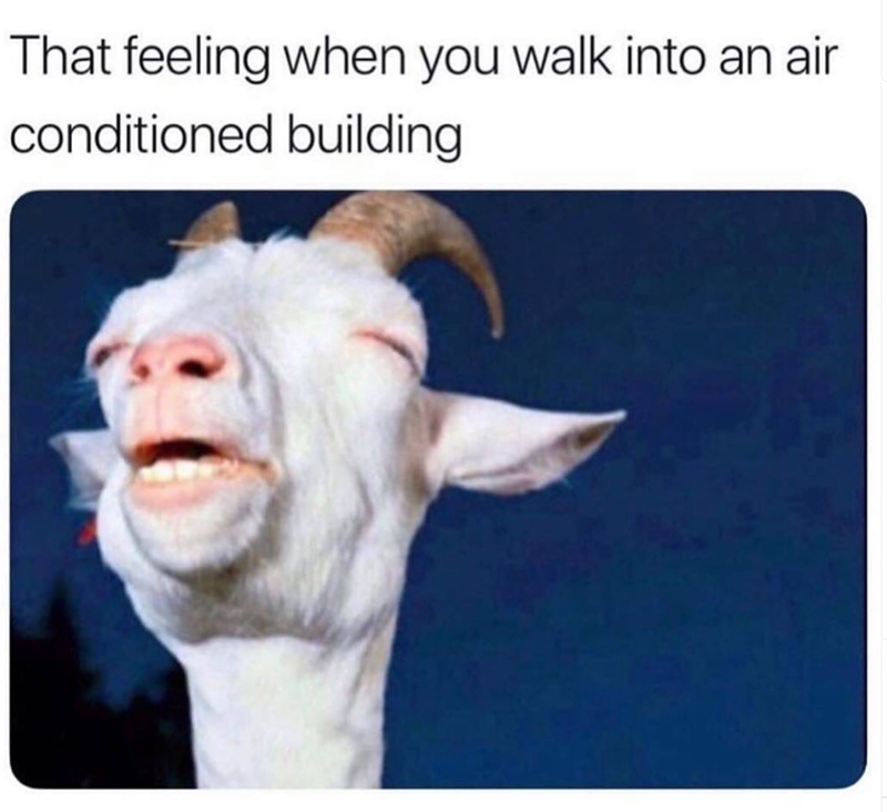 That feeling when you walk into an air conditioned building