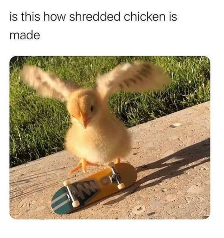 is this how shredded chicken is made