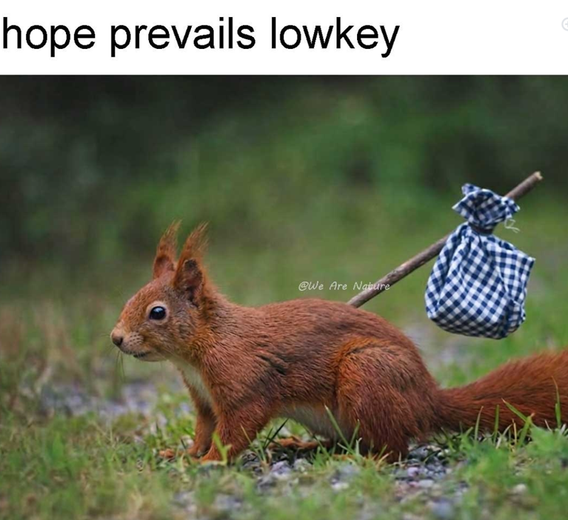 hope prevails lowkey @We Are Nature