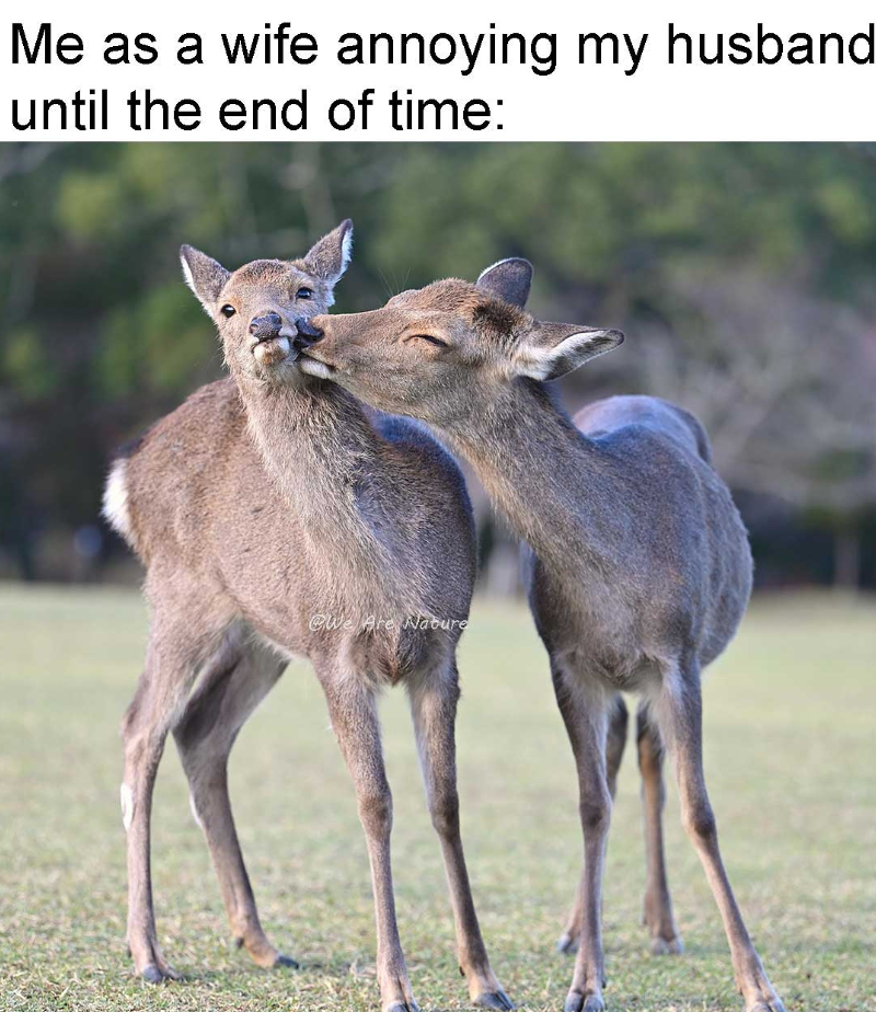 Me as a wife annoying my husband until the end of time: @We Are Nature