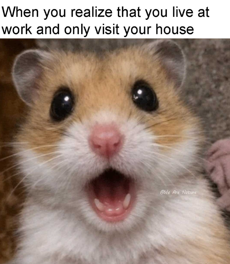 When you realize that you live at work and only visit your house @We Are Nature