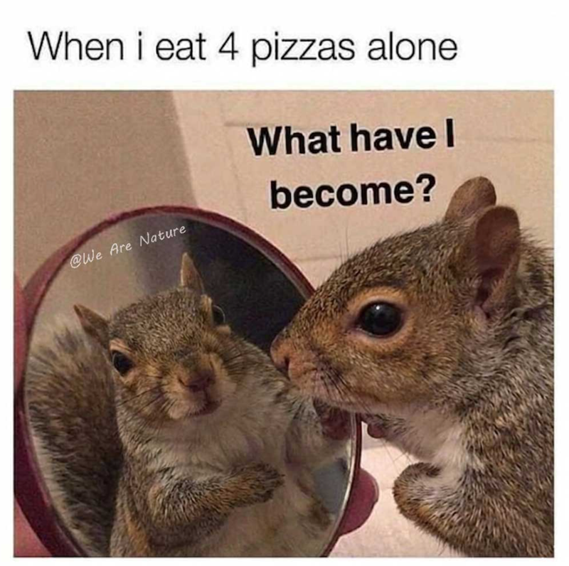 When i eat 4 pizzas alone What have I become? @We Are Nature