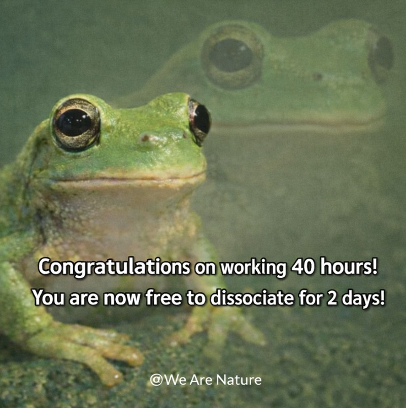 Congratulations on working 40 hours! You are now free to dissociate for 2 days! @We Are Nature