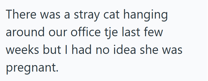There was a stray cat hanging around our office tje last few weeks but I had no idea she was pregnant.