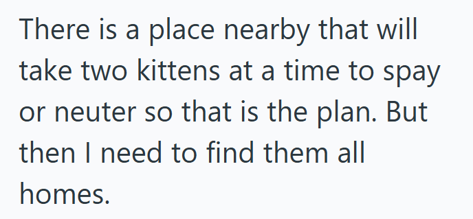 There is a place nearby that will take two kittens at a time to spay or neuter so that is the plan. But then I need to find them all homes.