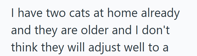 I have two cats at home already and they are older and I don't think they will adjust well to a