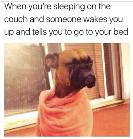 When you're sleeping on the couch and someone wakes you up and tells you to go to your bed