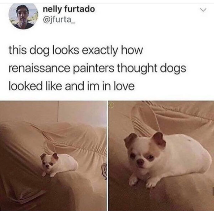 nelly furtado @jfurta_ this dog looks exactly how renaissance painters thought dogs looked like and im in love