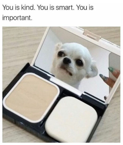 You is kind. You is smart. You is important.