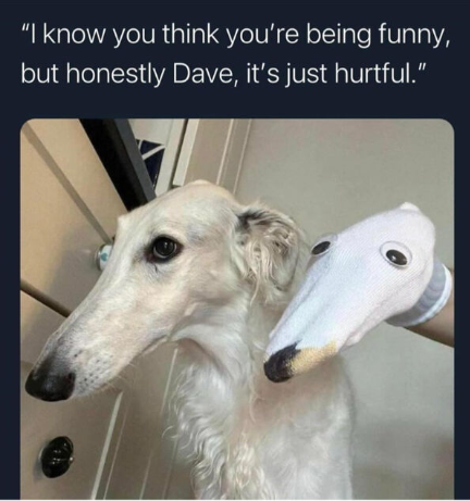 "I know you think you're being funny, but honestly Dave, it's just hurtful."