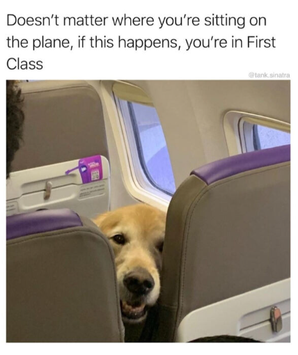 Doesn't matter where you're sitting on the plane, if this happens, you're in First Class @tank.sinatra