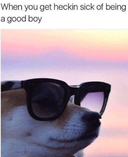 When you get heckin sick of being a good boy dabmoms