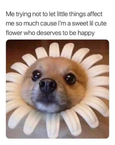 Me trying not to let little things affect me so much cause I'm a sweet lil cute flower who deserves to be happy
