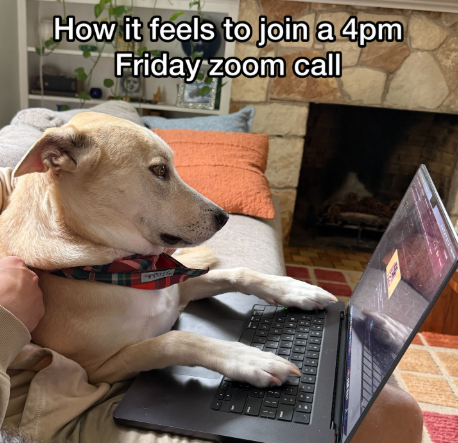 How it feels to join a 4pm Friday zoom call