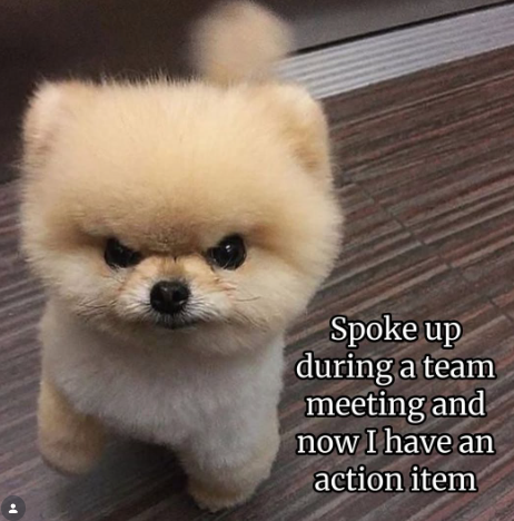 Spoke up during a team meeting and now I have an action item