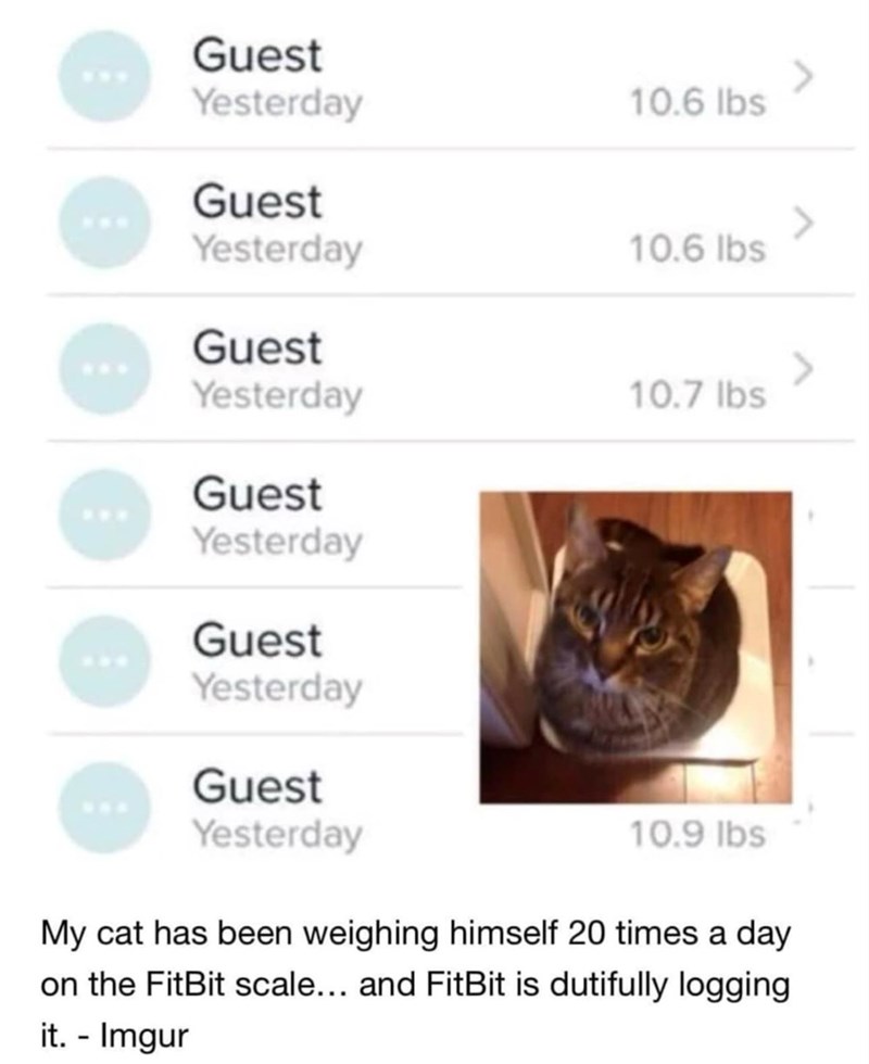 Guest Yesterday 10.6 lbs Guest Yesterday 10.6 lbs Guest Yesterday 10.7 lbs Guest Yesterday Guest Yesterday Guest Yesterday 10.9 lbs < < My cat has been weighing himself 20 times a day on the FitBit scale... and FitBit is dutifully logging it. - Imgur