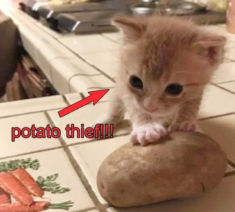 potato thief!!! Fas