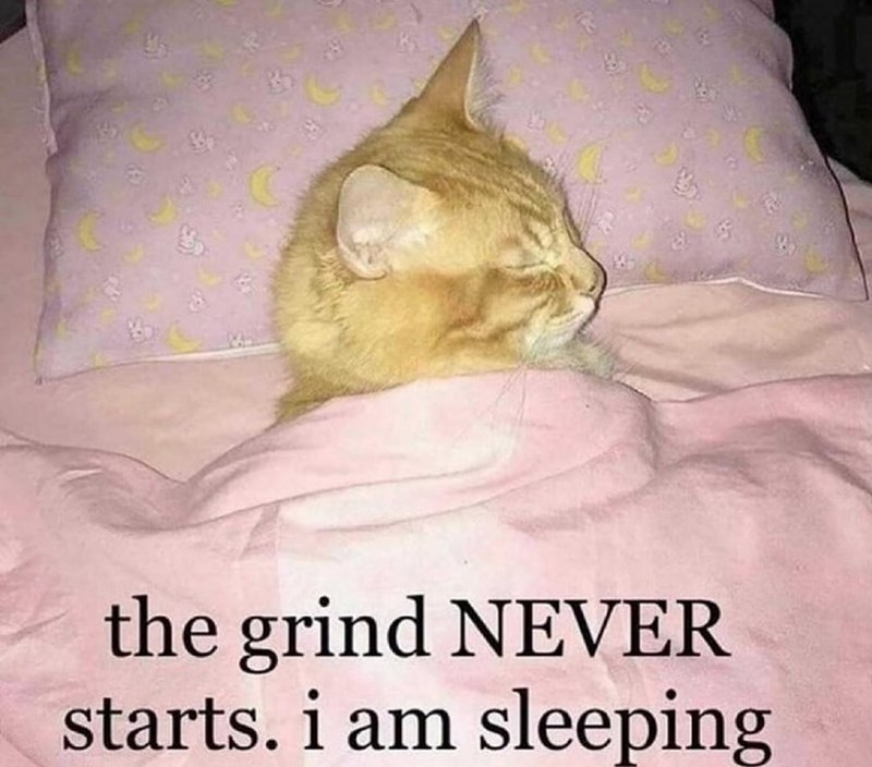 the grind NEVER starts. i am sleeping