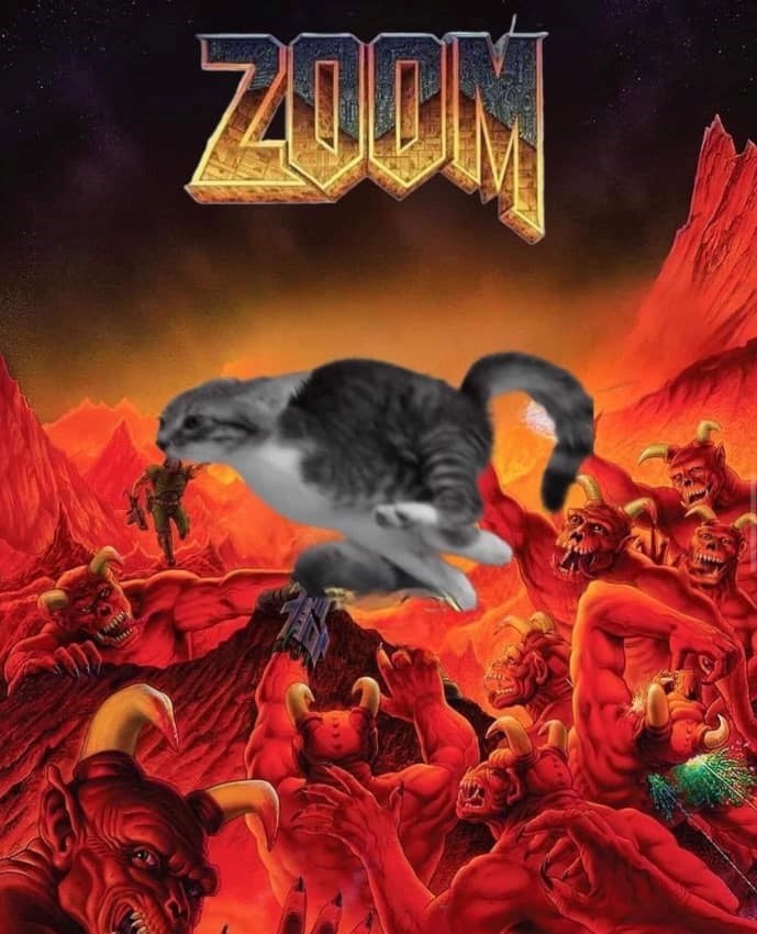 ZOOM