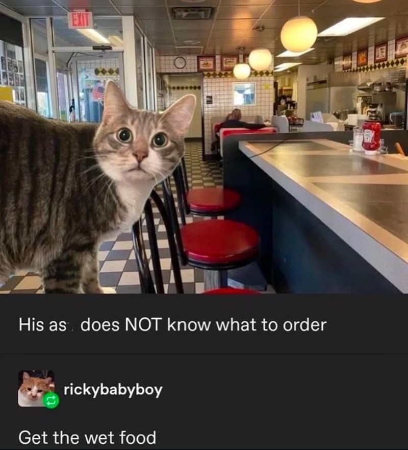 EXIT His as does NOT know what to order rickybabyboy Get the wet food