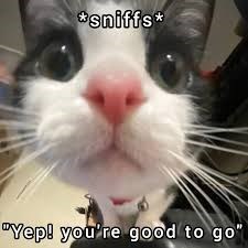 *sniffs* "Yep! you're good to go"