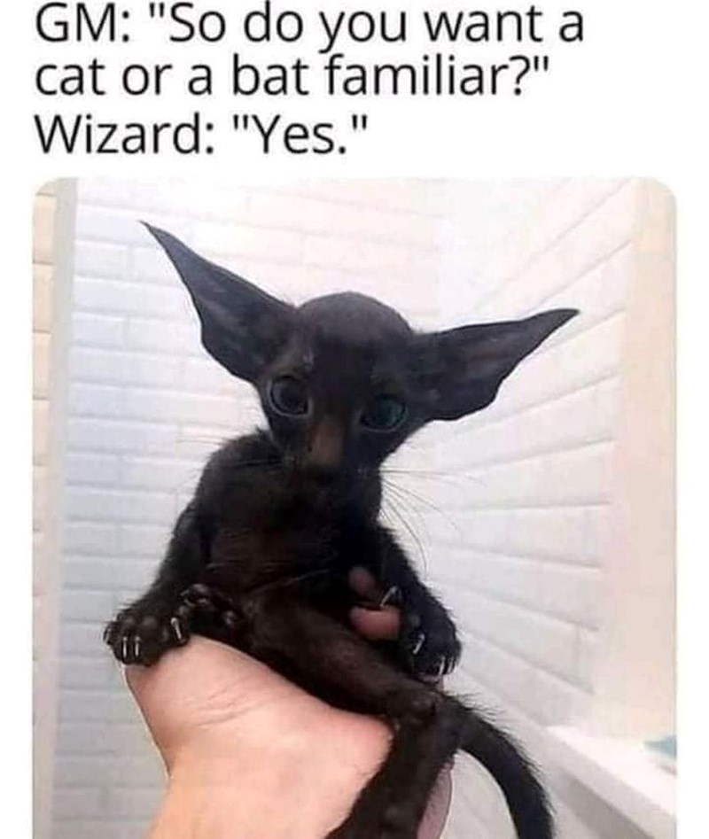 GM: "So do you want a cat or a bat familiar?" Wizard: "Yes."