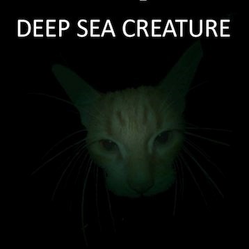 DEEP SEA CREATURE