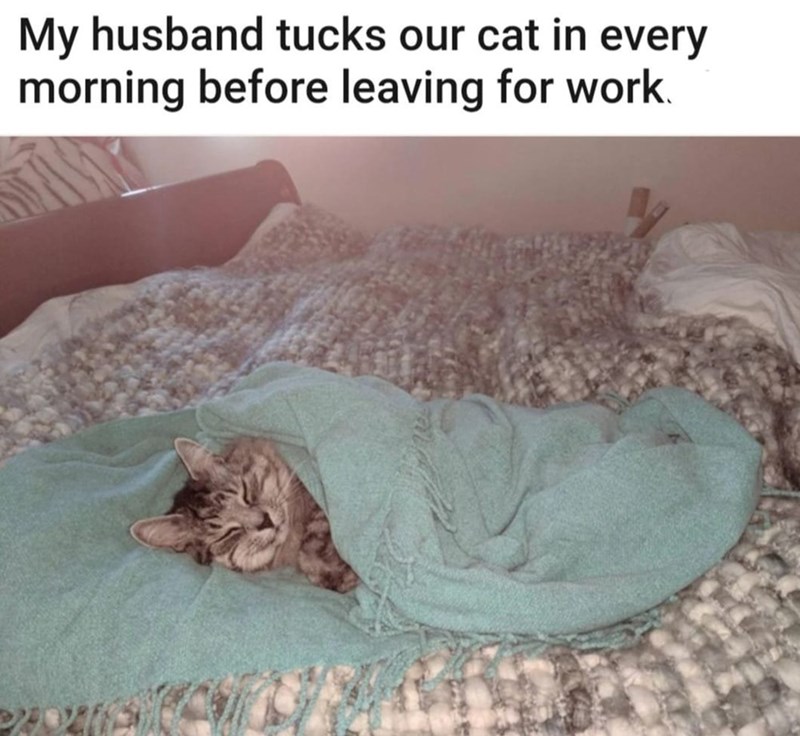 My husband tucks our cat in every morning before leaving for work.