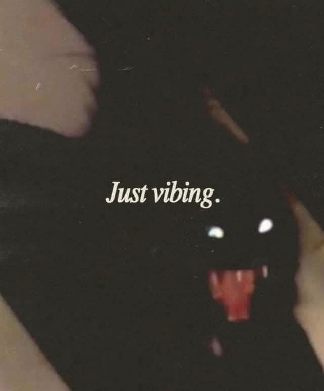Just vibing.