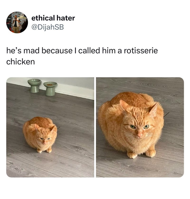 ethical hater @DijahSB he's mad because I called him a rotisserie chicken