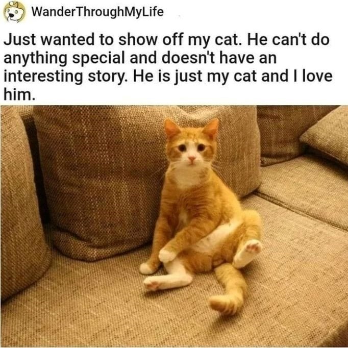 WanderThroughMyLife Just wanted to show off my cat. He can't do anything special and doesn't have an interesting story. He is just my cat and I love him.