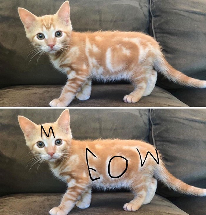 M M COW