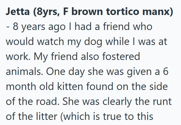 Jetta (8yrs, F brown tortico manx) - 8 years ago I had a friend who would watch my dog while I was at work. My friend also fostered animals. One day she was given a 6 month old kitten found on the side of the road. She was clearly the runt of the litter (which is true to this