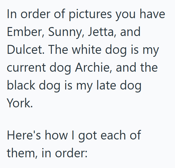 In order of pictures you have Ember, Sunny, Jetta, and Dulcet. The white dog is my current dog Archie, and the black dog is my late dog York. Here's how I got each of them, in order: