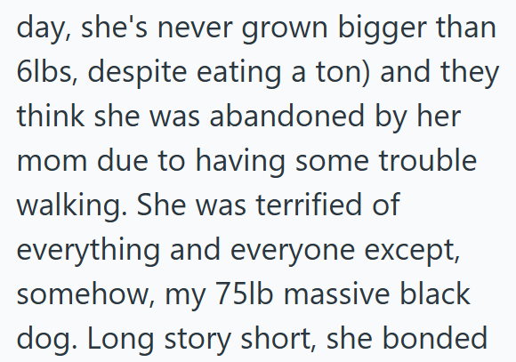 day, she's never grown bigger than 6lbs, despite eating a ton) and they think she was abandoned by her mom due to having some trouble walking. She was terrified of everything and everyone except, somehow, my 75lb massive black dog. Long story short, she bonded