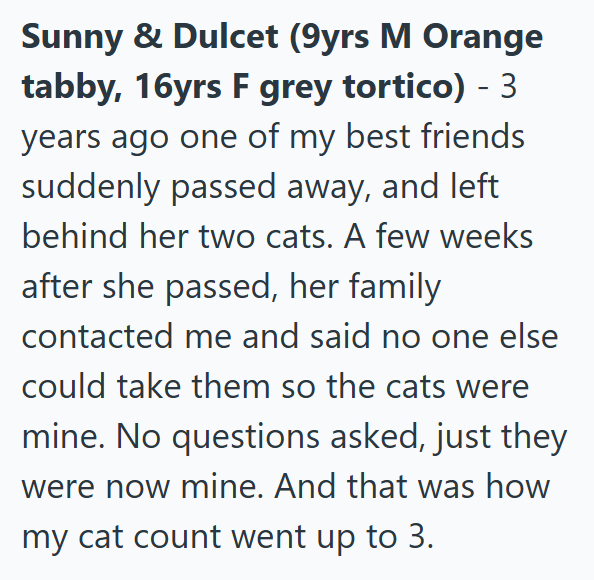 Sunny & Dulcet (9yrs M Orange tabby, 16yrs F grey tortico) -3 years ago one of my best friends suddenly passed away, and left behind her two cats. A few weeks after she passed, her family contacted me and said no one else could take them so the cats were mine. No questions asked, just they were now mine. And that was how my cat count went up to 3.