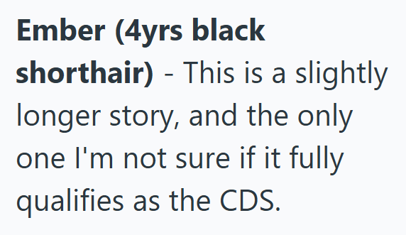 Ember (4yrs black - shorthair) This is a slightly longer story, and the only one I'm not sure if it fully qualifies as the CDS.