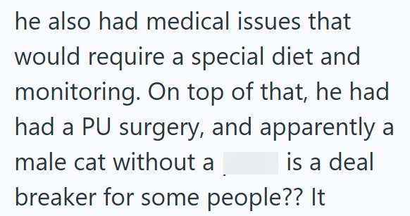he also had medical issues that would require a special diet and monitoring. On top of that, he had had a PU surgery, and apparently a male cat without a is a deal breaker for some people?? It